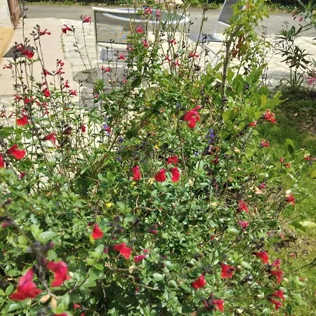 Petit Coin De Detente Apartament *